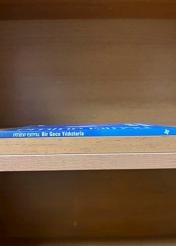 Bir Gece Yıldızlarla - Emine Işınsu - Görsel 3