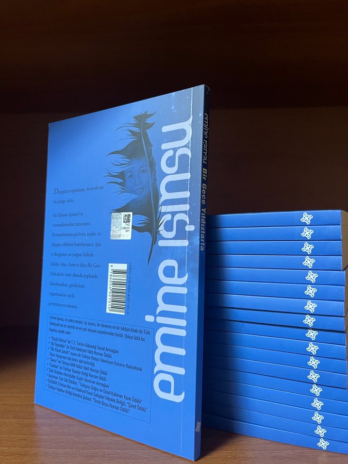 Bir Gece Yıldızlarla - Emine Işınsu - Görsel 2