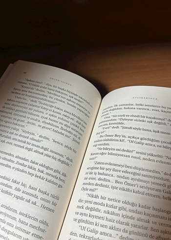 Atlıkarınca - Görsel 7