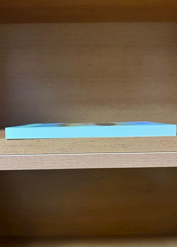 Atlıkarınca - Görsel 5