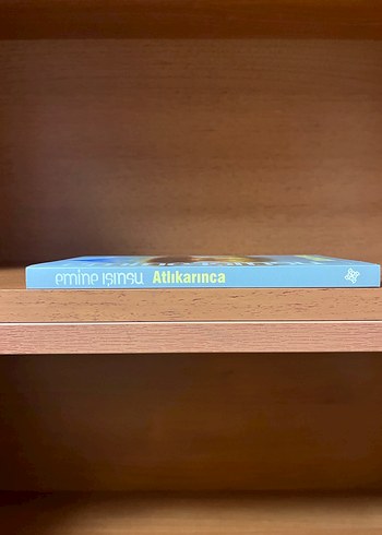 Atlıkarınca - Görsel 3