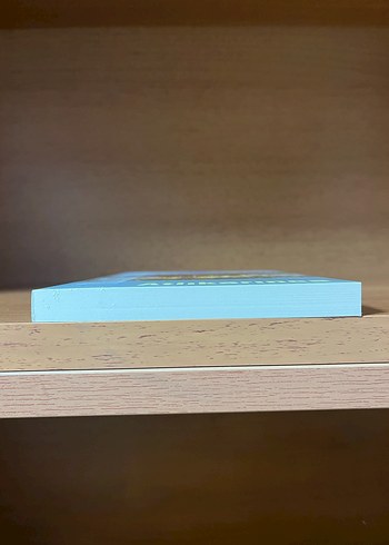 Atlıkarınca - Görsel 4