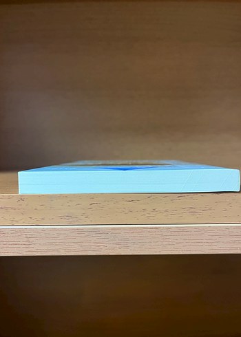 Atlıkarınca - Görsel 6