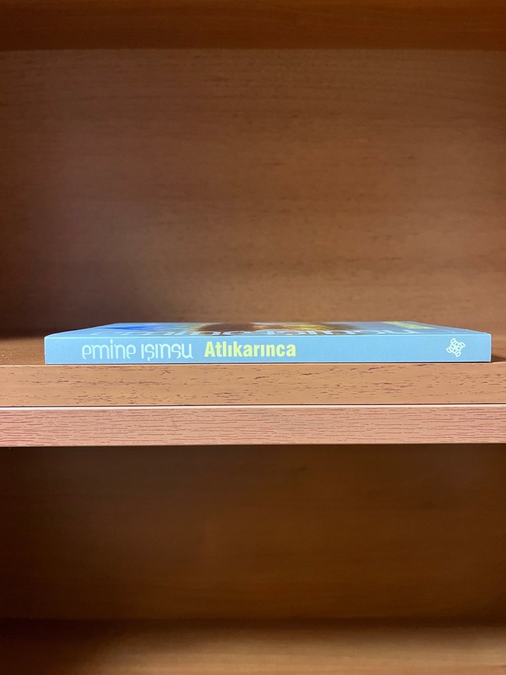 Atlıkarınca - Görsel 3