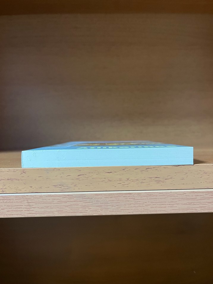 Atlıkarınca - Görsel 4