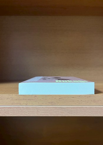 Bukağı - Görsel 4