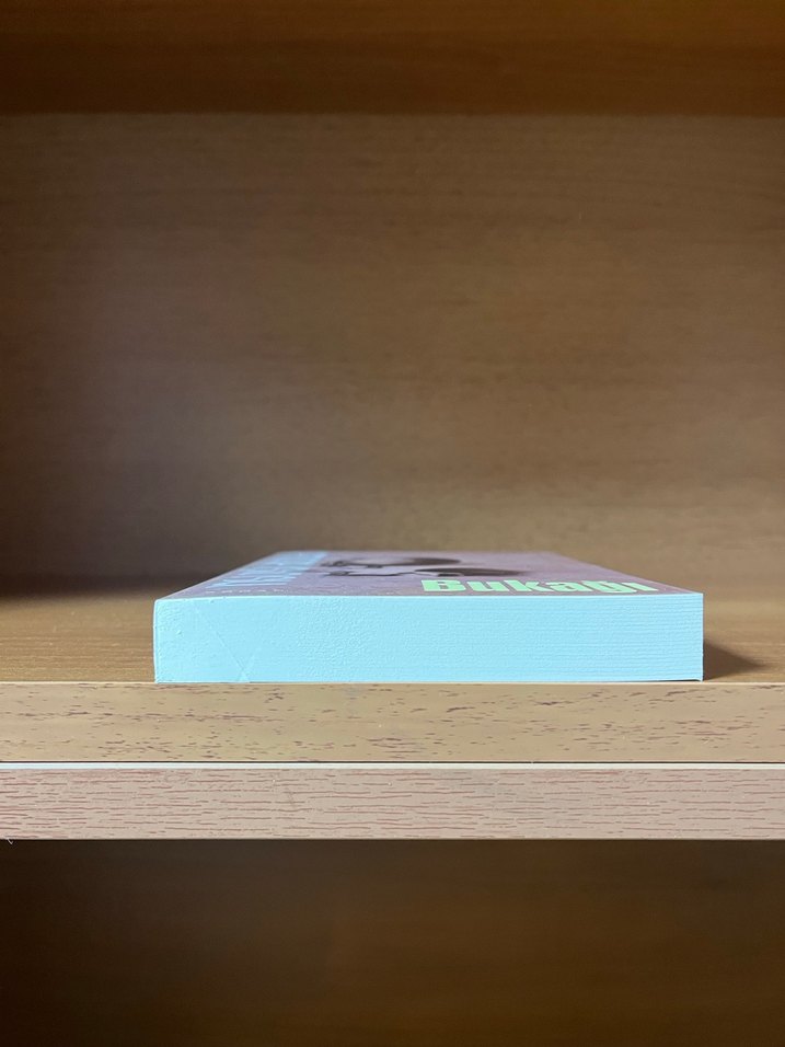 Bukağı - Görsel 4