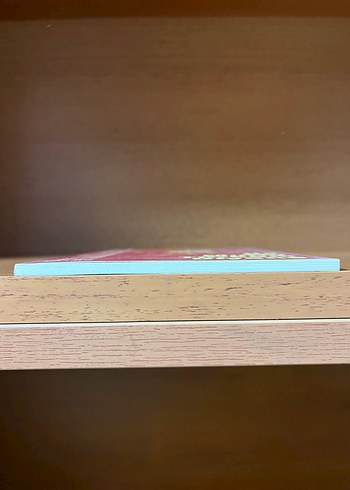 Ne Mutlu Türküm Diyene - Emine Işınsu - Görsel 4