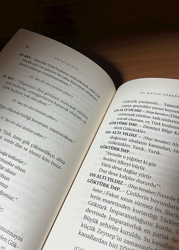 Ne Mutlu Türküm Diyene - Emine Işınsu - Görsel 7