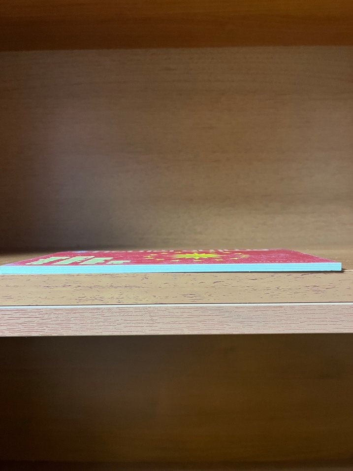 Ne Mutlu Türküm Diyene - Emine Işınsu - Görsel 5