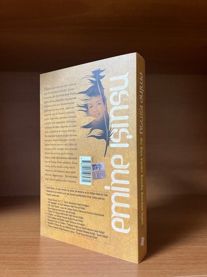 Emime Işınsu - Bir Ben Vardır Bende Benden İçeri - Görsel 2