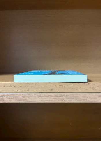 Tutsak - Emine Işınsunun Romanı - Görsel 6