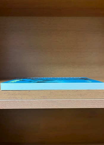 Tutsak - Emine Işınsunun Romanı - Görsel 5