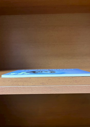 Bir Milyon İğne - Emine Işınsu - Görsel 5