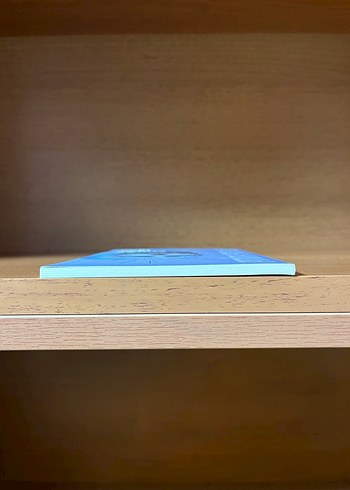 Bir Milyon İğne - Emine Işınsu - Görsel 6