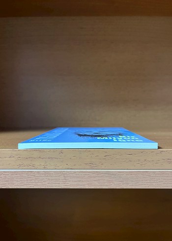 Bir Milyon İğne - Emine Işınsu - Görsel 4