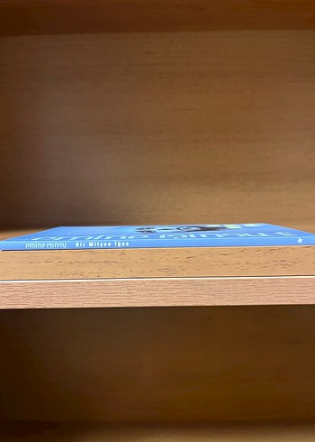 Bir Milyon İğne - Emine Işınsu - Görsel 3