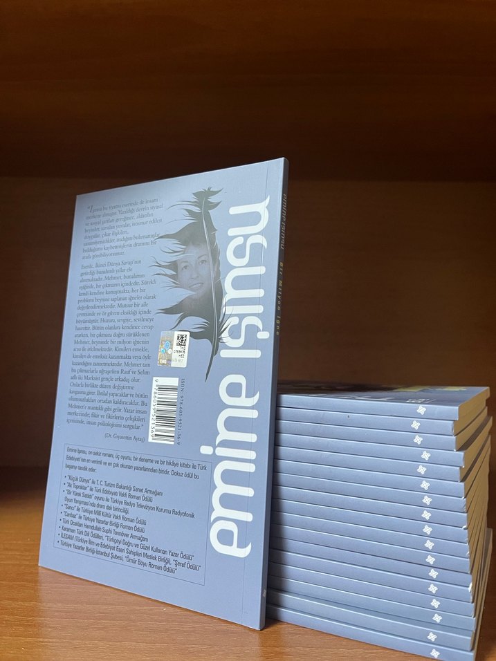 Bir Milyon İğne - Emine Işınsu - Görsel 2