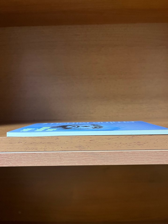 Bir Milyon İğne - Emine Işınsu - Görsel 5