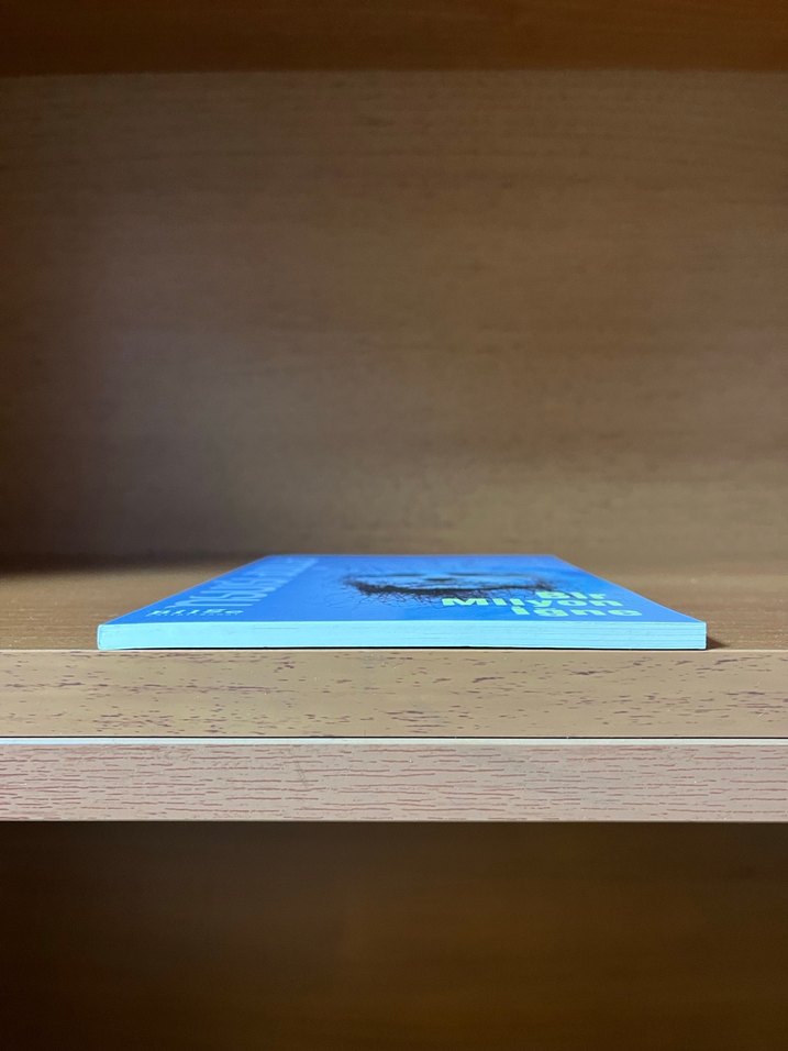 Bir Milyon İğne - Emine Işınsu - Görsel 4