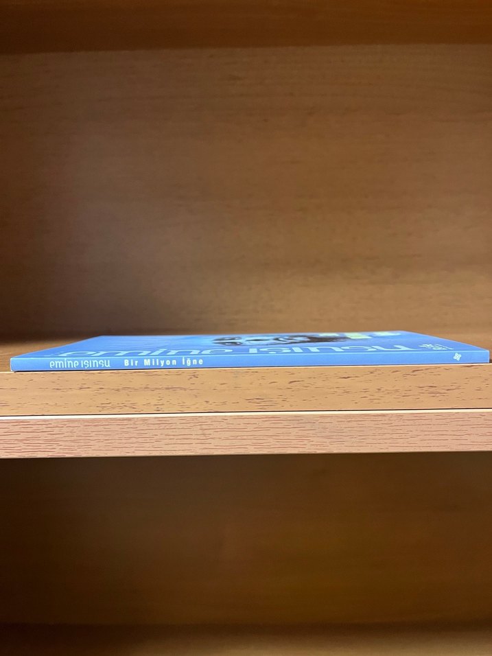 Bir Milyon İğne - Emine Işınsu - Görsel 3