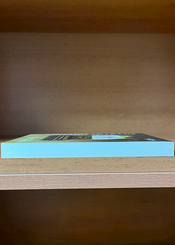 Bir Aile - Emine Işınsu - Görsel 5