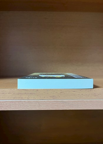 Bir Aile - Emine Işınsu - Görsel 6