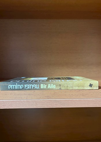 Bir Aile - Emine Işınsu - Görsel 3