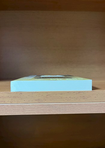 Bir Aile - Emine Işınsu - Görsel 4