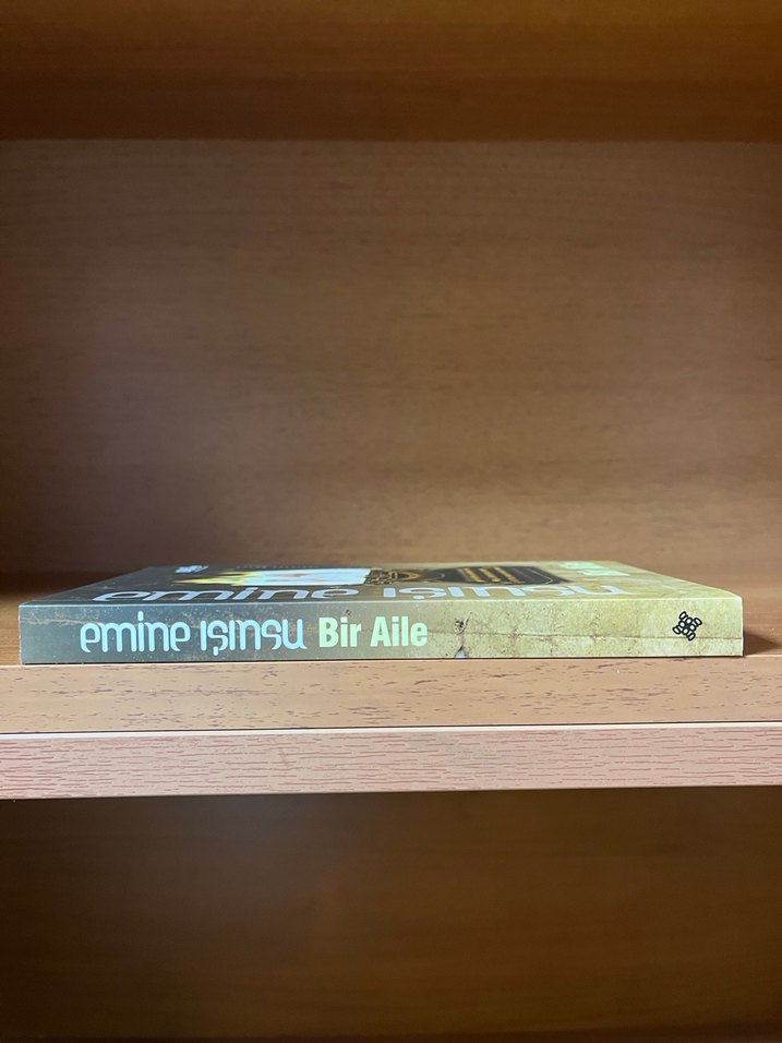 Bir Aile - Emine Işınsu - Görsel 3