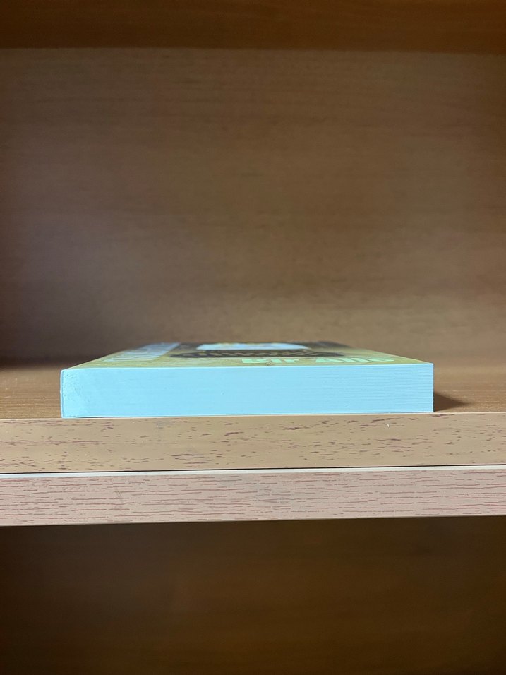 Bir Aile - Emine Işınsu - Görsel 4