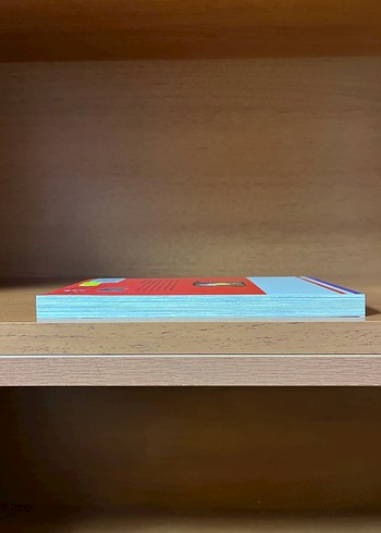 Vampire Knight Cilt 6 - Vampir Şövalye - Görsel 5