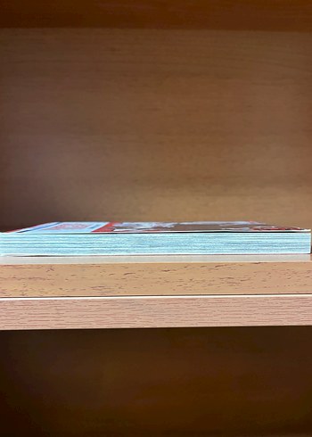 Vampir Şövalye 2. Cilt Manga - Görsel 4