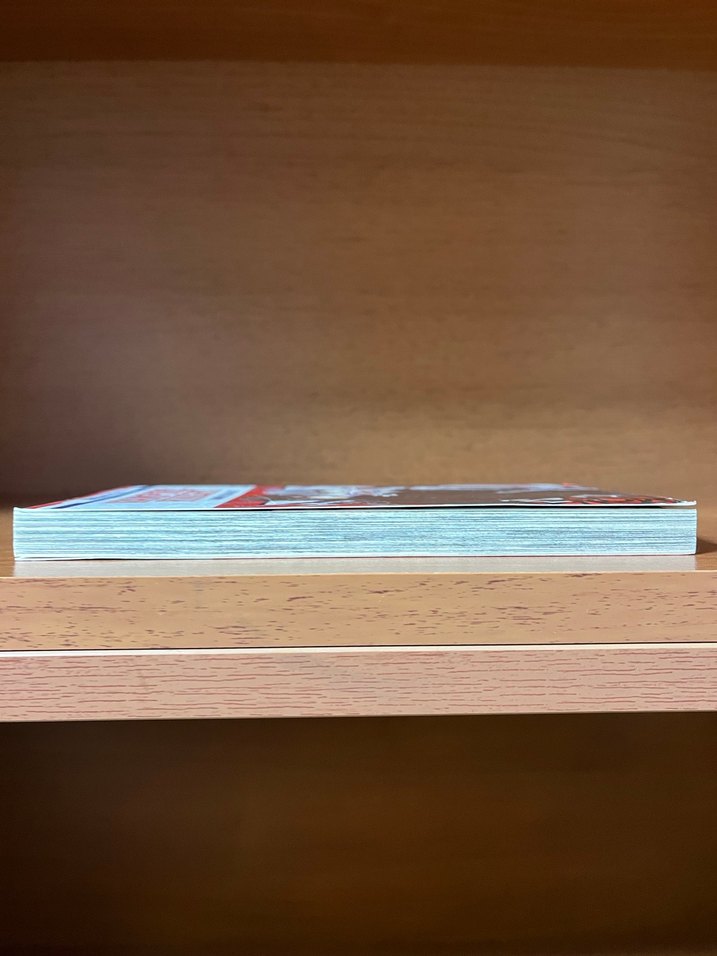 Vampir Şövalye 2. Cilt Manga - Görsel 4