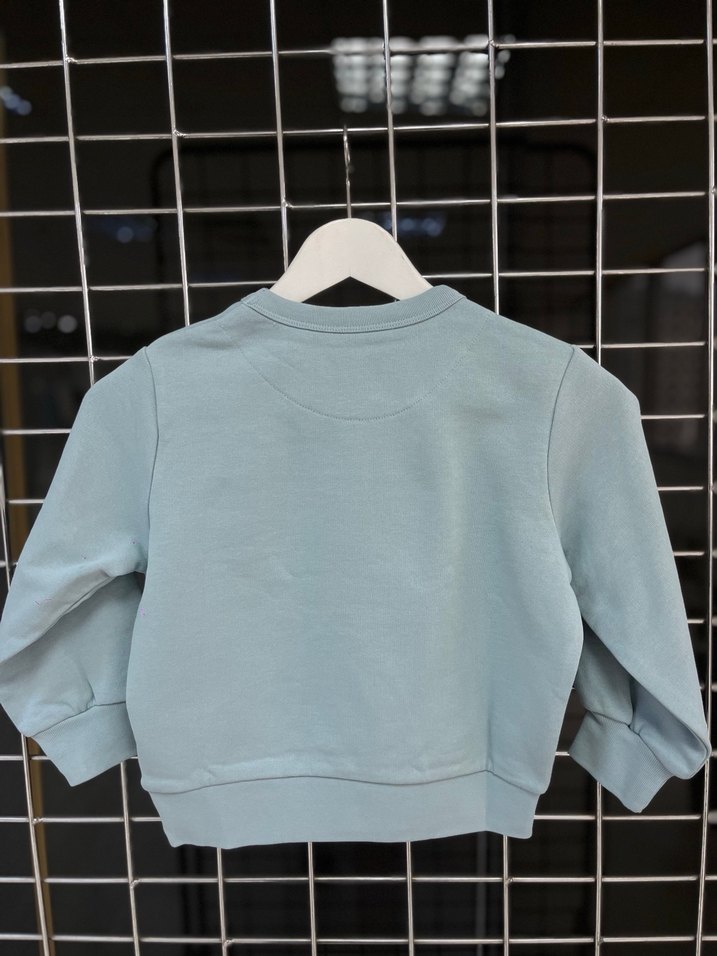Mavi Baskılı erkek Sweatshirt - Görsel 2