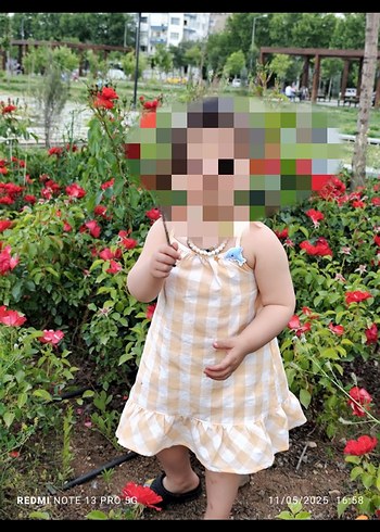 Fisher Price 24-36 Ay