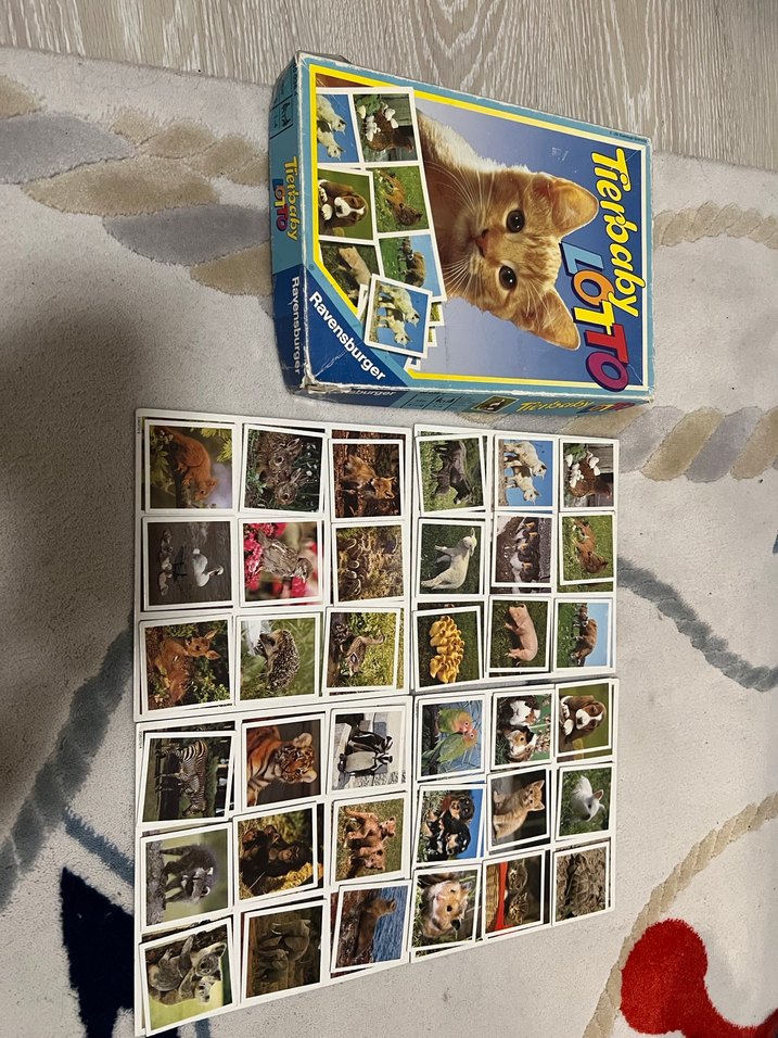 Ravensburger Çocuklar İçin Kart Eşleme Oyunu - Görsel 3