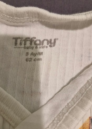 Bebek Erkek Kısa Kollu Pamuklu Çıtçıtlı Body zıbın - Görsel 5