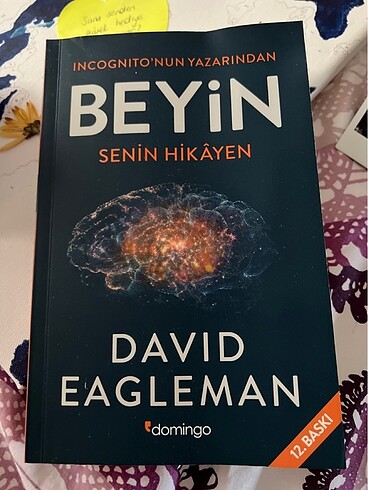 Beyin- David Eagleman