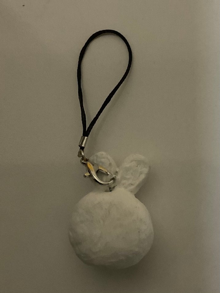 Skz skzoo anahtarlık leebit - Görsel 2