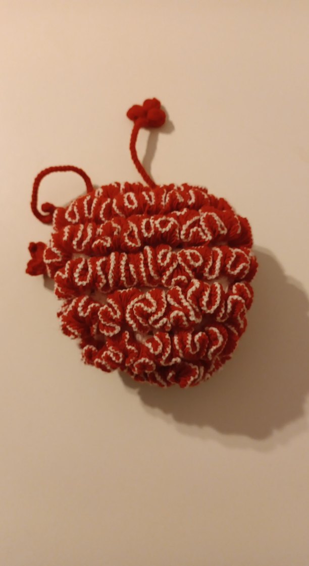 Renkli Kırmızı Banyo Süngeri - Görsel 5