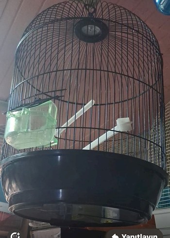 Siyah Yuvarlak Kuş Kafesi
