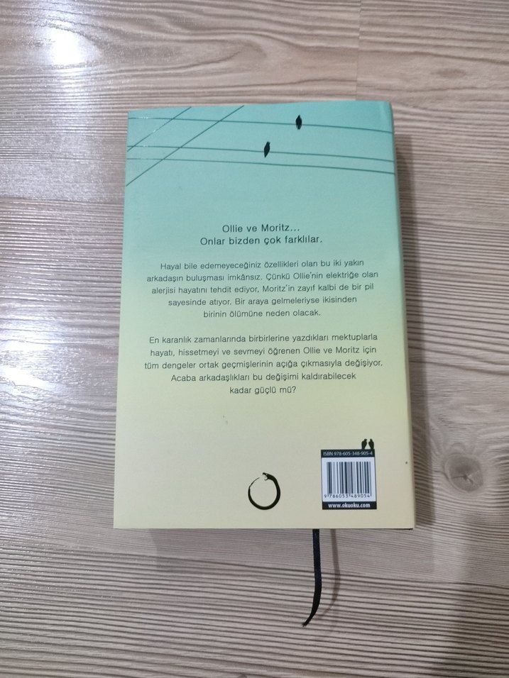 Benimle Asla Tanışamayacaksın - Leah Thomas - Görsel 2