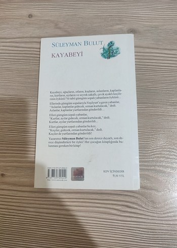 Süleyman Bulut'tan Kayabeyi Çocuk Kitabı - Görsel 2