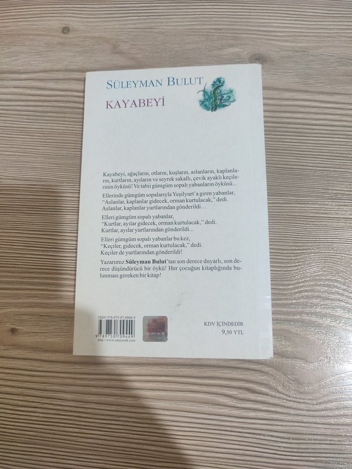 Süleyman Bulut'tan Kayabeyi Çocuk Kitabı - Görsel 2