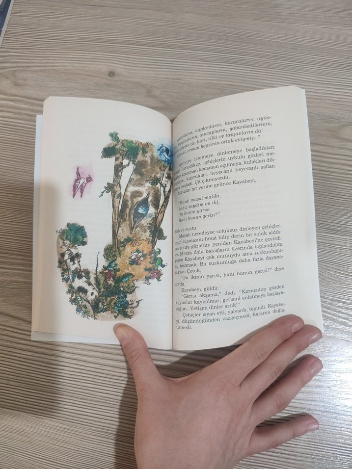 Süleyman Bulut'tan Kayabeyi Çocuk Kitabı - Görsel 3