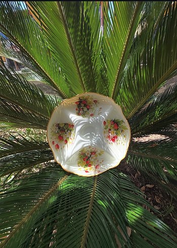 Vintage Beyaz Çiçek Desenli Bölmeli Tabak cam boyama el emegi - Görsel 15