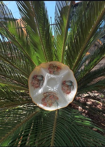 Vintage Beyaz Çiçek Desenli Bölmeli Tabak cam boyama el emegi - Görsel 17