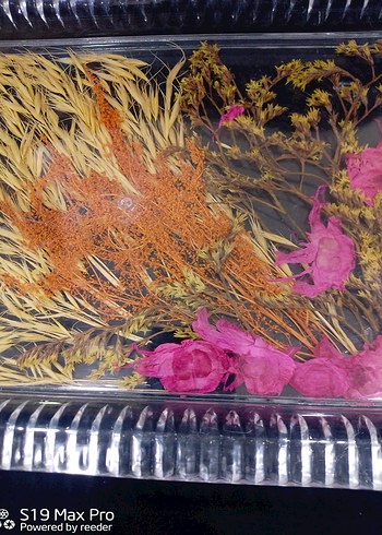 Renkli Kurutulmuş Çiçek Tırnak Süsleri - Görsel 4