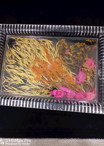 Renkli Kurutulmuş Çiçek Tırnak Süsleri - Görsel 3